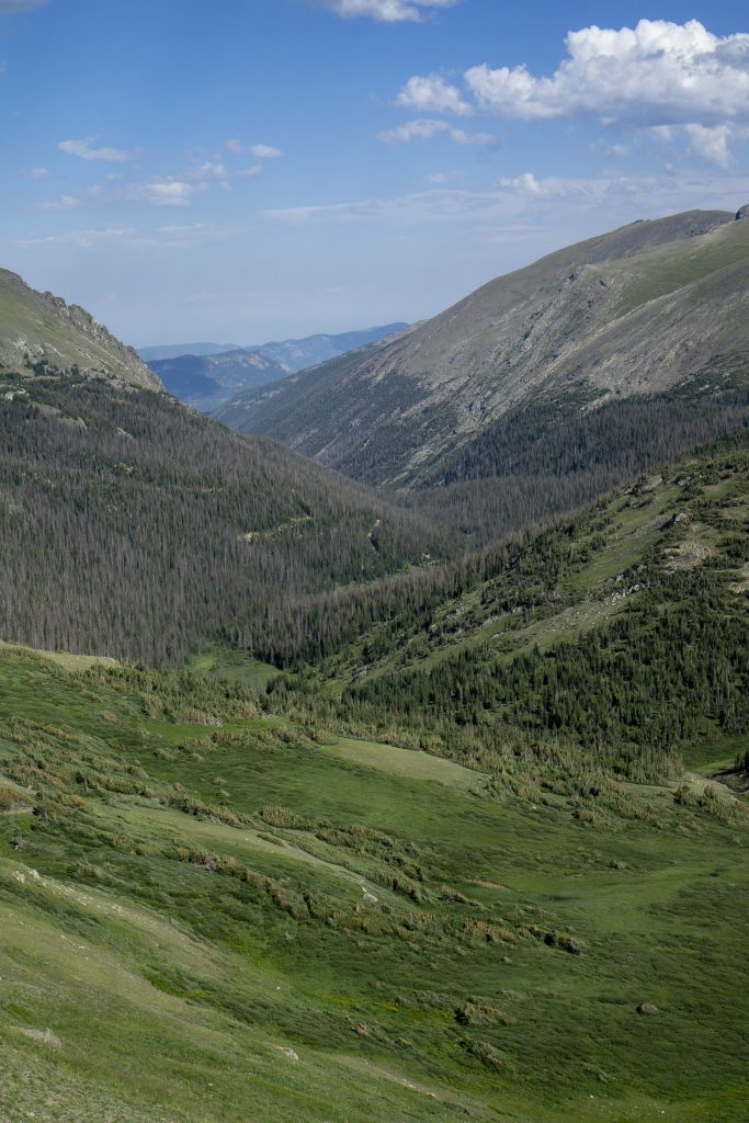 Darker Than Green | Rocky Mountain National Park